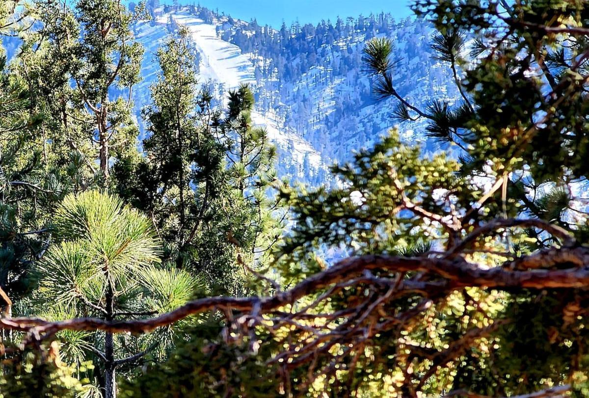 Bear Escapes II Affordable Luxury Cabin Sugarloaf Esterno foto