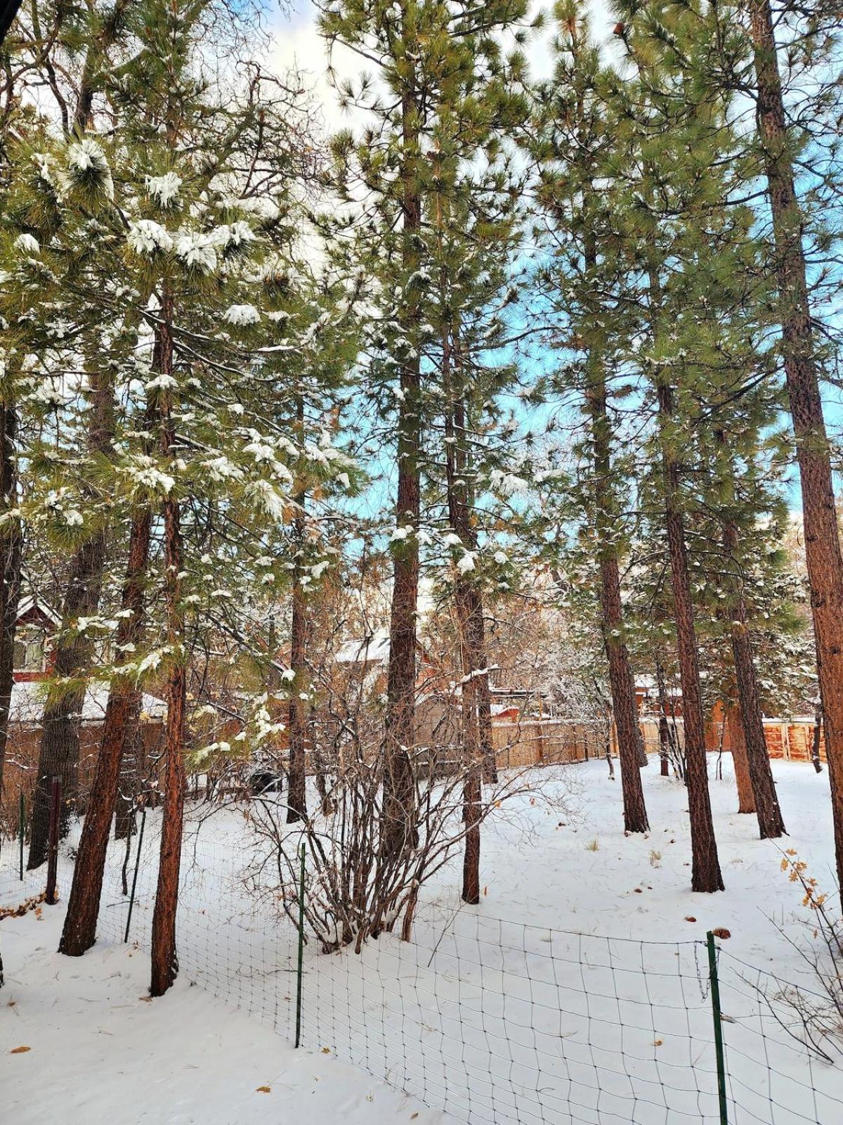 Bear Escapes II Affordable Luxury Cabin Sugarloaf Esterno foto